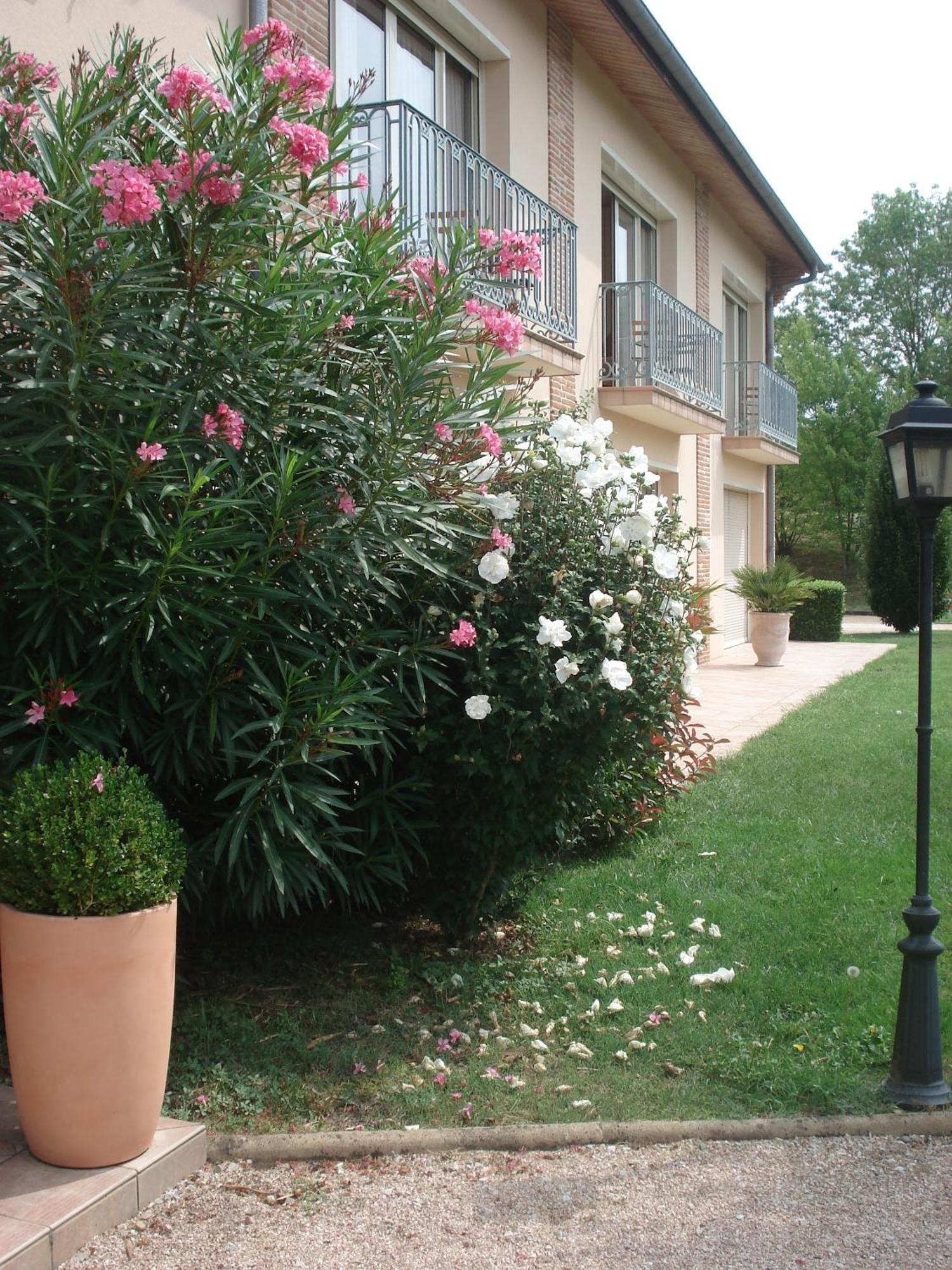 L'Oustal Du Lauragais Hotel Labastide-Beauvoir Ngoại thất bức ảnh